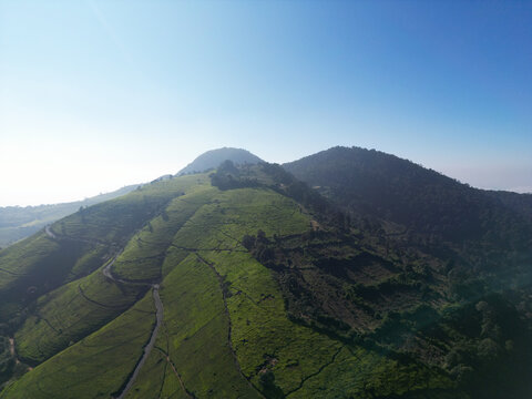Aerial View of Twin Green Peaks Above Tea Plantation Slopes