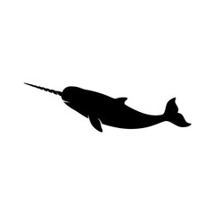 Narwhal silhouette swimming vector illustration © Md CF ID #17860857