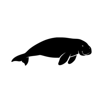 Manatee swimming silhouette vector illustration