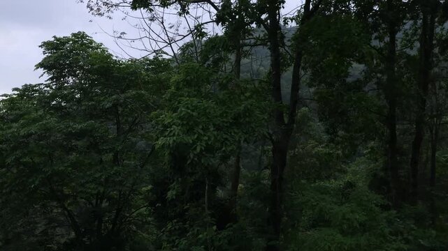 Darjeeling Hill Road with Traffic Through Lush Green Mountains, West Bengal India 4K Stock Footage