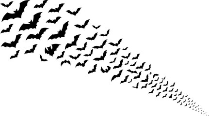 Fototapeta premium Halloween bats swarm silhouette, black flying bat colony trail on white background, spooky animal flock for gothic party decor