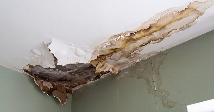 Water damage on interior ceiling showing peeling paint and dark brown mold stains caused by leaking roof pipes inside apartment