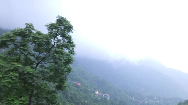 Dense fog and low clouds cover the lush green Darjeeling hills of West Bengal, India. Atmospheric Himalayan mountain landscape during monsoon weather, creating a peaceful and dramatic natural scene