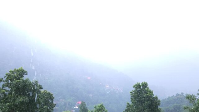 Dense fog and low clouds cover the lush green Darjeeling hills of West Bengal, India. Atmospheric Himalayan mountain landscape during monsoon weather, creating a peaceful and dramatic natural scene