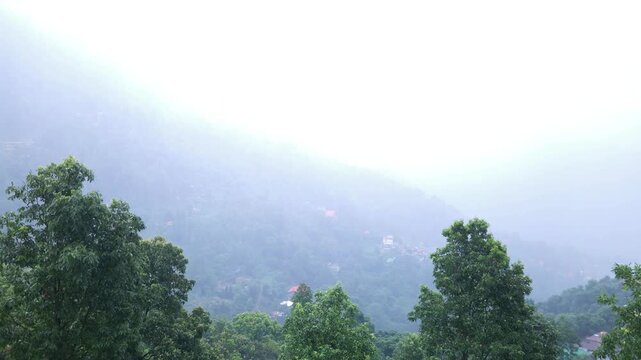 Dense fog and low clouds cover the lush green Darjeeling hills of West Bengal, India. Atmospheric Himalayan mountain landscape during monsoon weather, creating a peaceful and dramatic natural scene