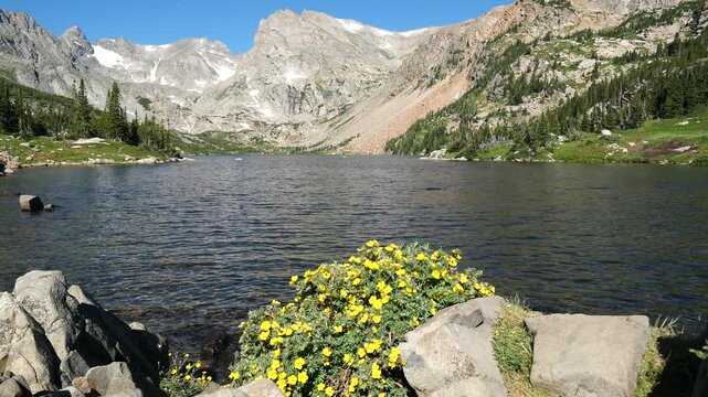 Lake Isabelle with Yellow Wildflowers and Alpine Peaks in Colorado Rocky Mountains