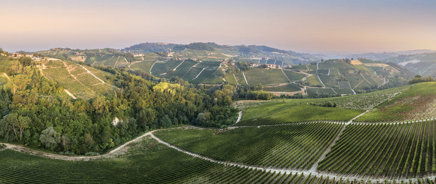Aerial view of rolling hills covered in lush green vineyards and patches of forest under soft golden hour light in Monforte d'Alba, Piedmont, Italy.