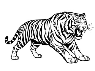 Obraz premium Vintage tiger illustration in traditional black and white line art engraving style