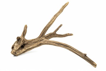 Fototapeta premium Weathered driftwood branch isolated on white background