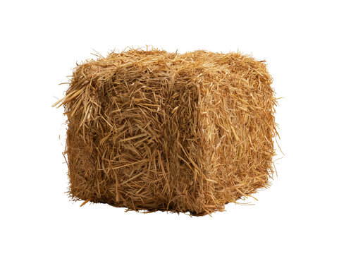 Single square hay bale isolated on white background for farm and agriculture concepts.