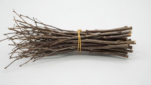 A bundle of thin wooden twigs tied with a rubber band isolated on white background
