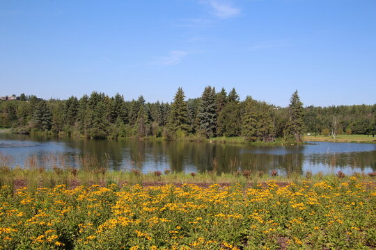 Garden By The Lake, William Hawrelak Park, Edmonton, Alberta
