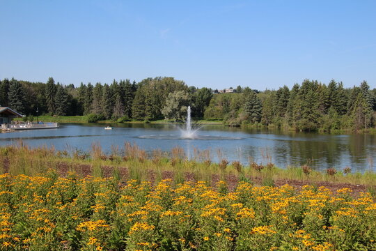 Blooms Of Summer, William Hawrelak Park, Edmonton, Alberta