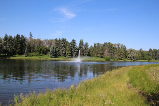 lake in the woods