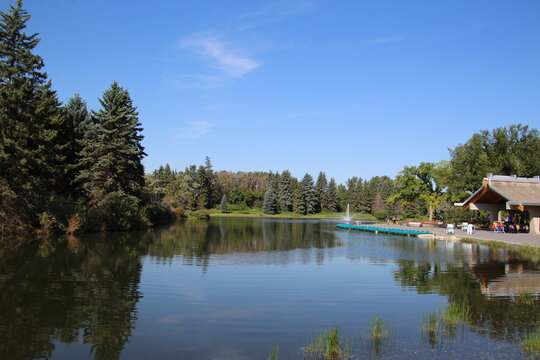 lake in the park