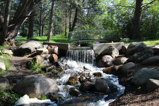 small waterfall in the forest