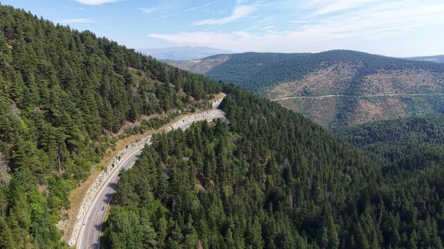 Winding mountain road cutting through dense pine forests in the Pyrenees near La Molina, Spain, with rolling green hills and blue sky stretching to the horizon