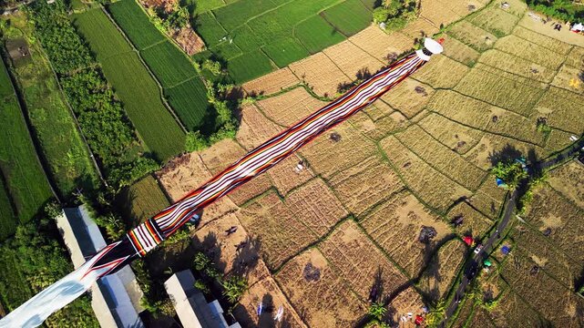 Kite festival in Bali Indonesia with a traditional giant kite flying above rice fields and rural farmland surrounded by village homes and tropical vegetation overhead drone view