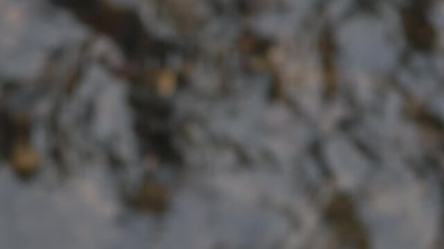 Artistic motion blur effect on a fast flowing natural river stream