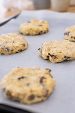 Oatmeal cookie. Homemade treat. Raw dough cereal raisins round pieces placed on white parchment paper sheet tray preparing for baking.
