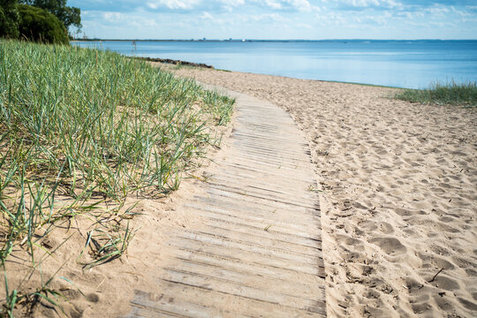 Summer season daily walk outdoors, ecological wooden trail lying across sandy beach coast of Baltic sea, wooden hiking pathway for comfort walking through dunes at seashore, wild countryside coastline