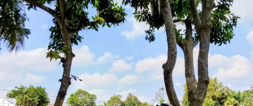 hdr