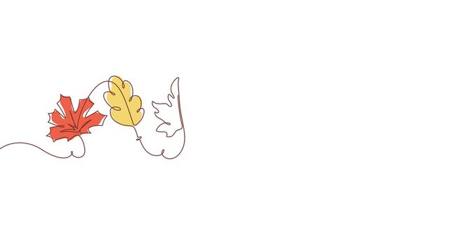 autumn season leaves celebration banner one line drawing continuous minimalist motion graphic
