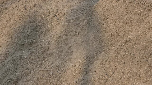 Dark shadows of tropical leaves swaying gently on the surface of dry sand