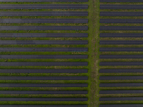 Aerial view of a large solar farm with rows of photovoltaic panels arranged on green grass in Miami, Florida, United States.