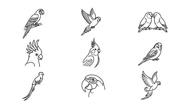 Parrot and Exotic Bird Linear Icon Set with Thin Outline Vector Art
