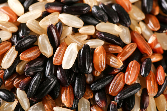 Colorful Mixed Organic Rice Grains - Brown Black Red White Varieties Close-up