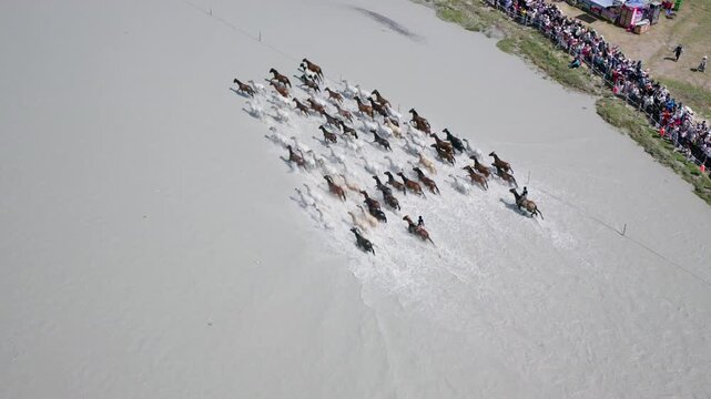 Aerial View of Heavenly Horses Bathing in River (Tianma Yuhe) in Zhaosu, Xinjiang: Horses Galloping across Tekes River with Water Splashing