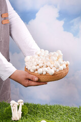 Fresh White Jade Mushrooms in Wicker Basket - High Quality Edible Fungi from Yunnan © NgoVan