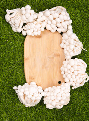 Fresh White Mushrooms on Bamboo Board - High Quality Edible Fungi from Yunnan © NgoVan