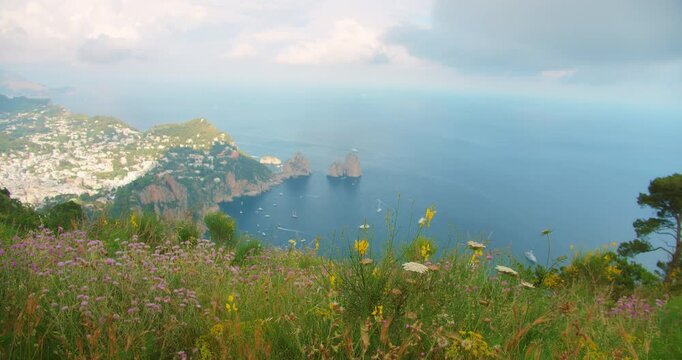 Colorful wildflowers frame a sweeping high vantage view of the coastline and town in Capri Italy