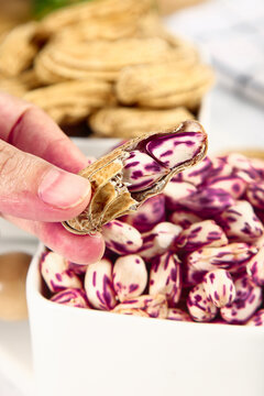 Fresh Picked Peanuts from Yunnan Plateau China Showing Colorful Purple Striped Shell Pattern