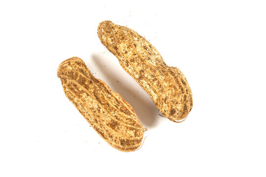 Fresh Yunnan Plateau Peanuts in Shell - Natural Groundnuts Picked from China