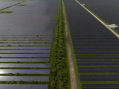 Aerial view of a large solar farm with rows of photovoltaic panels separated by a dirt path and green vegetation in Miami, Florida, United States.