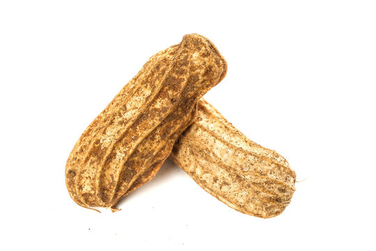 Fresh Peanuts in Shell from Yunnan Plateau China - Natural Groundnuts Ready for Harvest