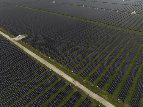 Aerial view of a large solar farm with rows of photovoltaic panels and a dirt access road in Miami, Florida, United States.
