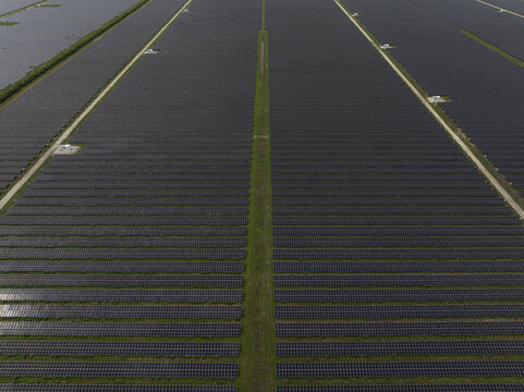 Aerial view of a large-scale solar farm with rows of photovoltaic panels stretching across the landscape, separated by narrow dirt paths and green grass in Miami, Florida, United States.