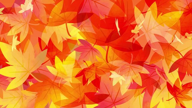  舞いながら落ちる紅葉のアニメーション　銀杏　もみじ　