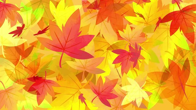  舞いながら落ちる紅葉のアニメーション　銀杏　もみじ　