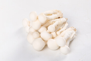 Fresh White Jade Mushrooms from Yunnan - Premium Edible Fungi for Gourmet Cooking © NguyenVan