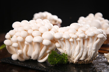 Fresh White Edible Mushrooms from Yunnan Province on Dark Slate Surface with Herbs © NguyenVan