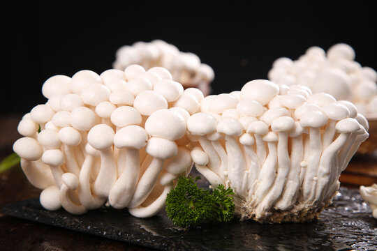 Fresh White Edible Mushrooms from Yunnan Province on Dark Slate Surface with Herbs