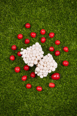 Fresh White Mushrooms and Red Tomatoes on Green Grass - Organic Produce Display © NguyenVan