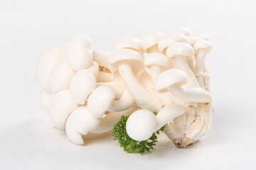 Fresh White Edible Mushrooms from Yunnan - High Quality Jade Fungi for Cooking © NguyenVan