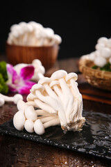 Fresh White Edible Mushrooms from Yunnan - High Quality Jade Fungi on Slate Board © NguyenVan