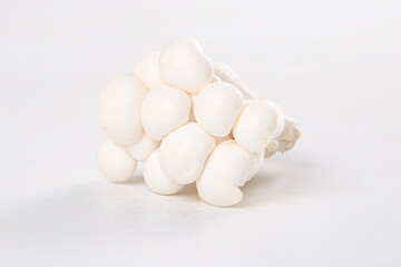 Fresh White Edible Mushrooms from Yunnan Province - High Quality Fungi on White Background © NguyenVan